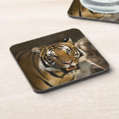 シベリア虎 コースター (左側)