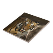 シベリア虎 タイル (側面)