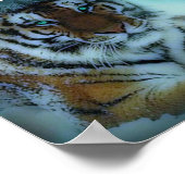 シベリア虎 ポスター (角)