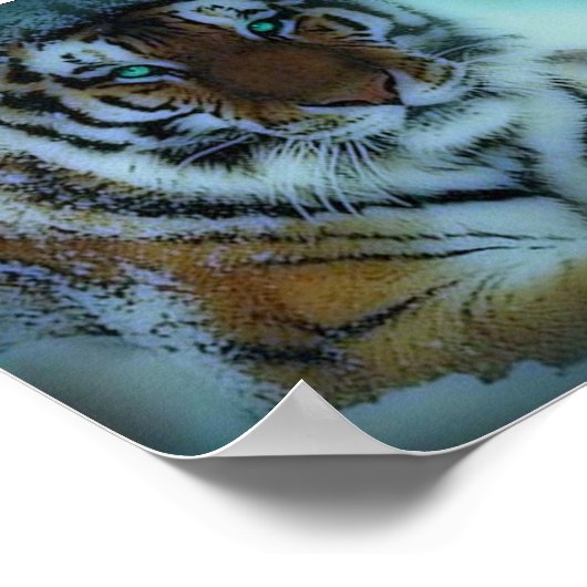 シベリア虎 ポスター (角)