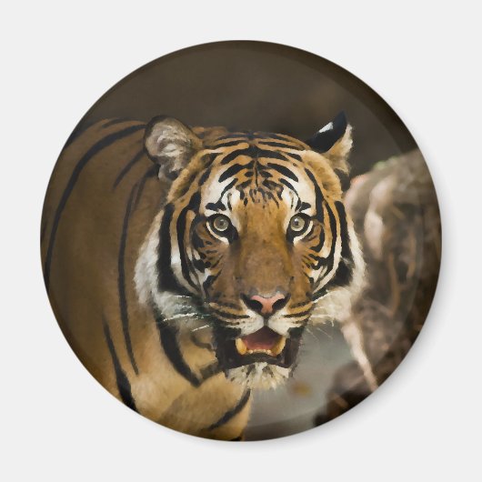 シベリア虎 マグネット (正面)