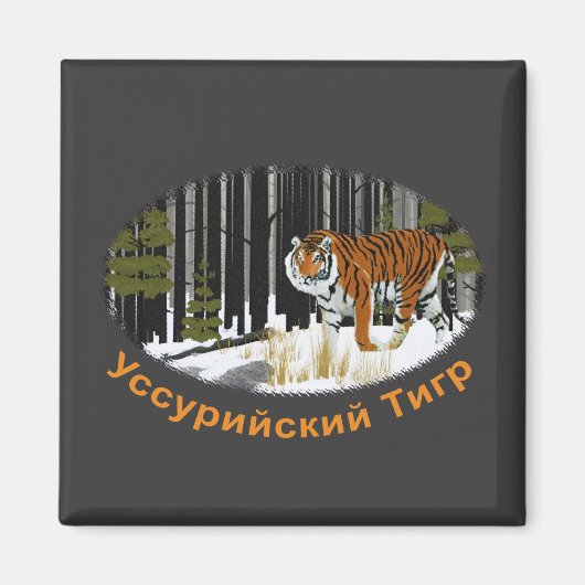 シベリア虎 マグネット (正面)