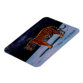 シベリア虎 マグネット (左側)