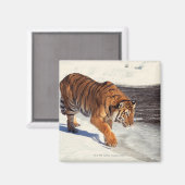 シベリア虎 マグネット (正面/裏面)