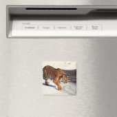 シベリア虎 マグネット (インサイチュ (食洗機))