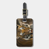 シベリア虎 ラゲッジタグ (正面縦)