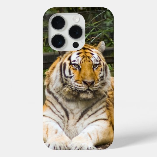 シベリア虎 Case-Mate iPhoneケース (裏面)