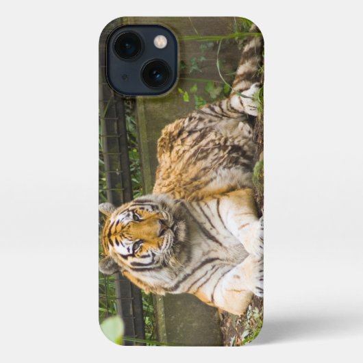 シベリア虎 iPhoneケース (裏面)