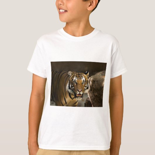 シベリア虎 Tシャツ (正面)