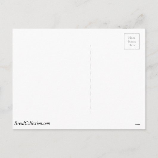 シベリア飾ハスキーのクリスマスツリー – 森 シーズンポストカード (裏面)