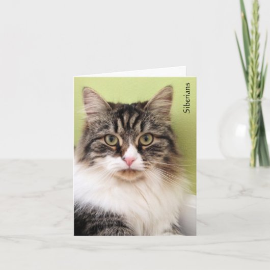 シベリア魔法ノートカード カード (正面)