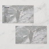 シベリア·イベックス 名刺 (正面/裏面)