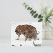 シベリア・タイガーとカブ ポストカード (スタンド正面)