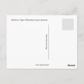 シベリア・タイガーとカブ ポストカード (裏面)