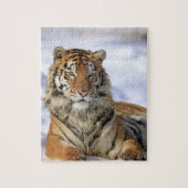 シベリア・タイガー、アジア、パンテラ・ティグリス・アルタイカ、 ジグソーパズル (縦)