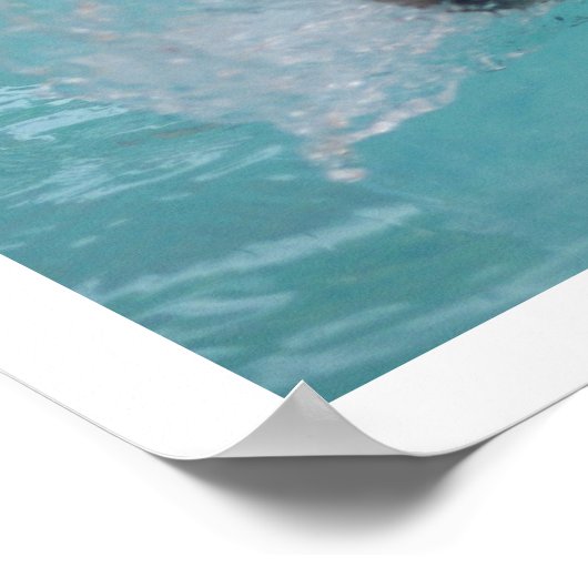 シベリア・ハスキーがプールで泳ぐ ポスター (角)