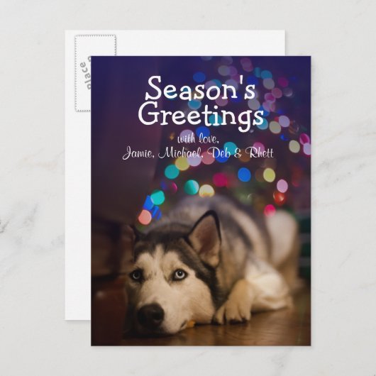 シベリア・ハスキーのおもちゃにお気に入りの乗り込む ポストカード (正面/裏面)