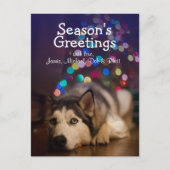 シベリア・ハスキーのおもちゃにお気に入りの乗り込む ポストカード (正面)