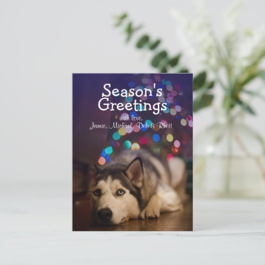 シベリア・ハスキーのおもちゃにお気に入りの乗り込む ポストカード (スタンド正面)