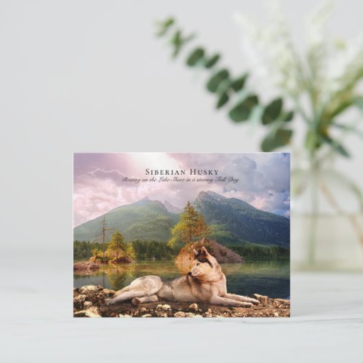 シベリア・ハスキーのレイクショア秋 – コレクション可能 ポストカード (スタンド正面)