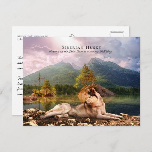 シベリア・ハスキーのレイクショア秋 – コレクション可能 ポストカード (正面/裏面)
