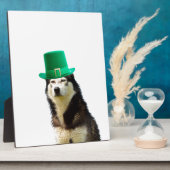 シベリア・ハスキー・ドッグ・セント・パトリックの日 フォトプラーク (側面)