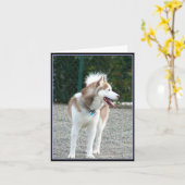 シベリア・ハスキー・ノテカード カード (黄色い花)