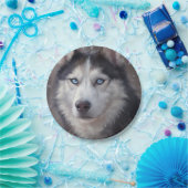 シベリア・ハスキー ペーパープレート (パーティー)