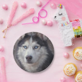 シベリア・ハスキー ペーパープレート (パーティー)