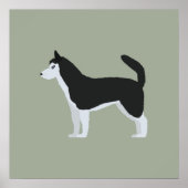 シベリア・ハスキー ポスター (正面)