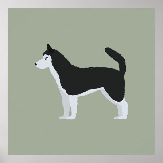 シベリア・ハスキー ポスター (正面)