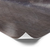 シベリア・ハスキー ポスター (コーナー)