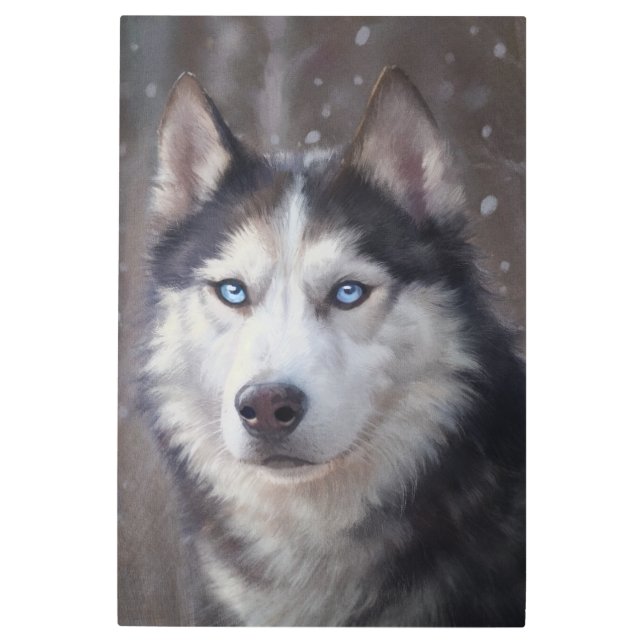シベリア・ハスキー メタルプリント (正面)