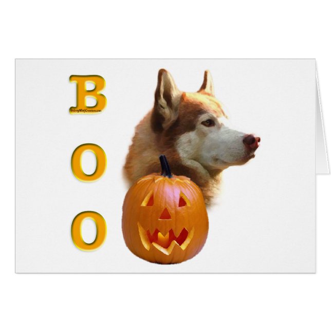 シベリア・ハスキー（赤）ブー (正面横)