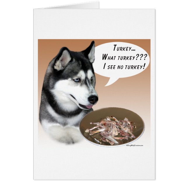 シベリア・ハスキー（黒）トルコ (正面)