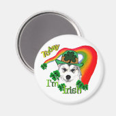 シベリア・ハスキーSt patricks day マグネット (正面/裏面)