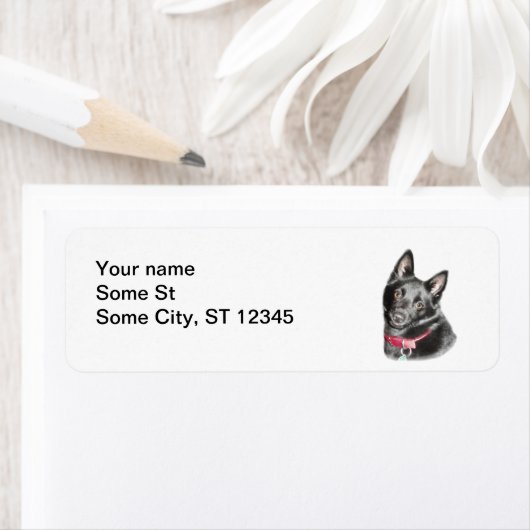 シペルケ写真 ラベル (インサイチュ)