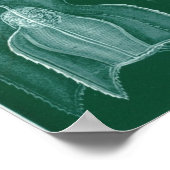 シホノフォラ ポスター (角)