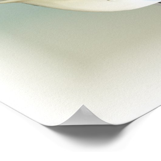 シボイ1957 ポスター (角)