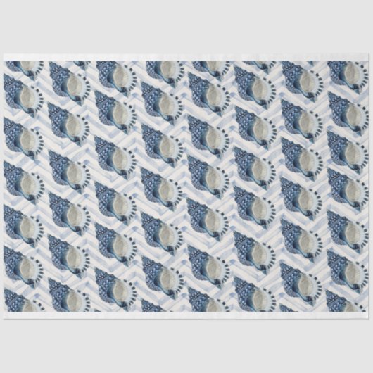 シボロンの背景にブルーグリーンのコンチシェル 薄葉紙 (正面)