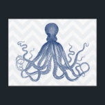 シボロンタコLT ポストカード<br><div class="desc">ヴィンテージグラフィックプリントタコの模様の背景。海、ビーチ、または航海のテーマギフトに最適。</div>