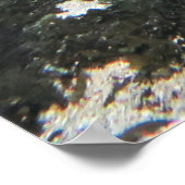 シマウザメ ポスター (角)