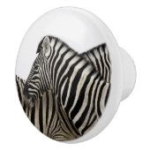 シマウマが尾に向かう セラミックノブ (右)