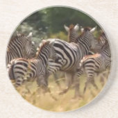 シマウマが移動:千マイルの旅 コースター (正面)