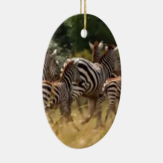 シマウマが移動:千マイルの旅 セラミックオーナメント (右)