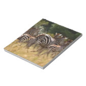 シマウマが移動:千マイルの旅 ノートパッド (回転)