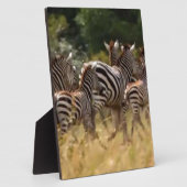 シマウマが移動：千マイルの旅 フォトプラーク (側面)