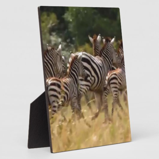 シマウマが移動：千マイルの旅 フォトプラーク (側面)