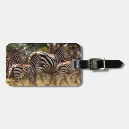 シマウマが移動：千マイルの旅 ラゲッジタグ (正面横)