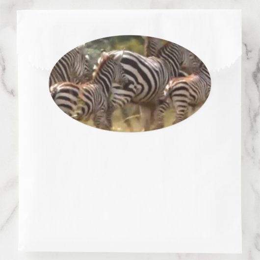 シマウマが移動:千マイルの旅 楕円形シール (バッグ)